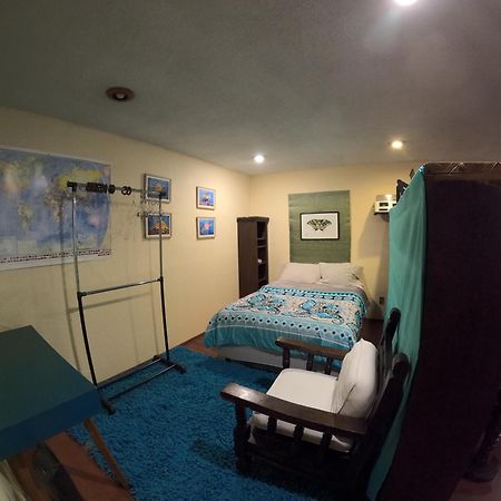 Neighbor Of Frida Khalo, Vintage Stay In Coyoacan Mexico City Exteriör bild
