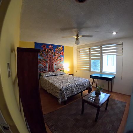 Neighbor Of Frida Khalo, Vintage Stay In Coyoacan Mexico City Exteriör bild
