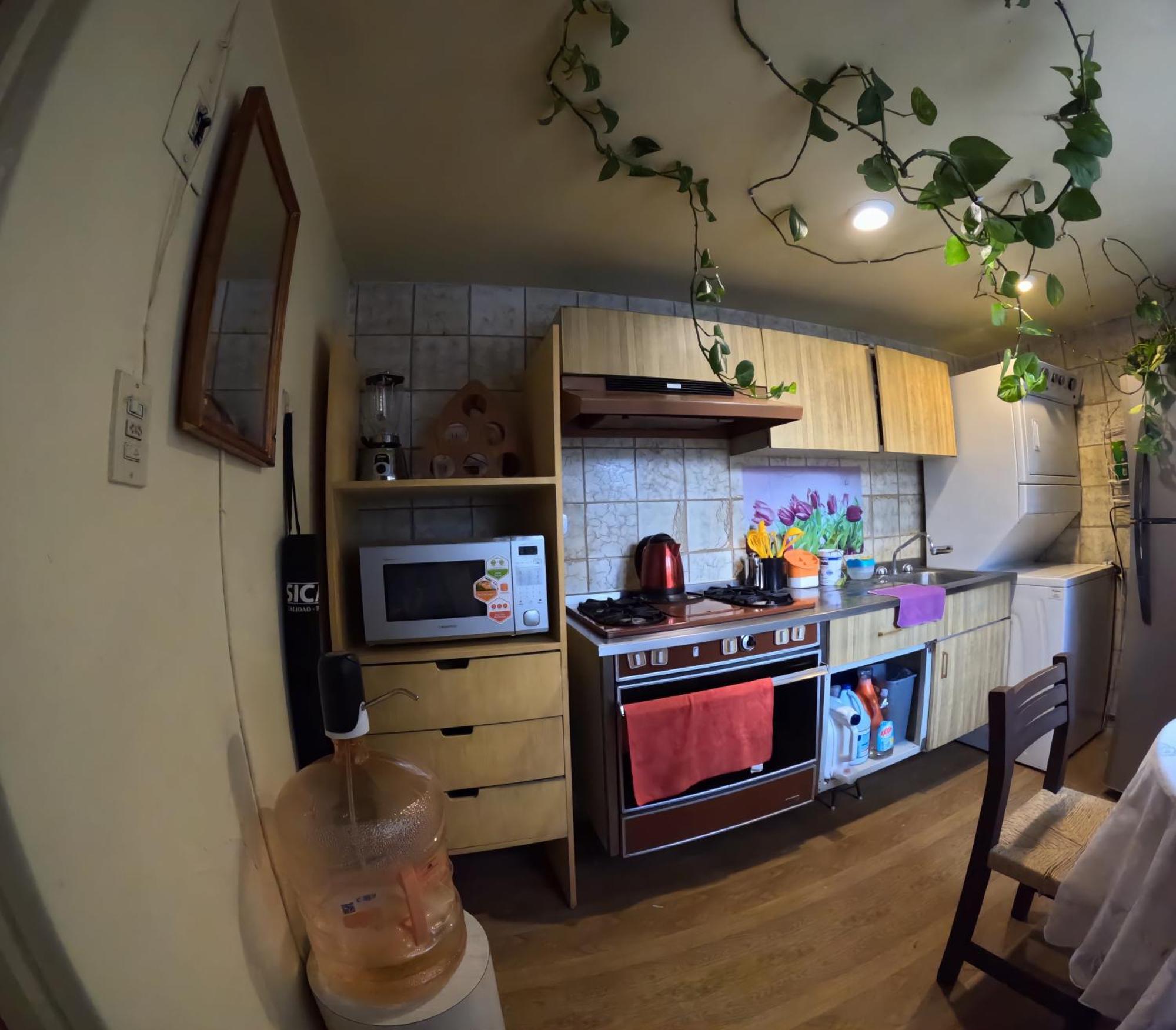 Neighbor Of Frida Khalo, Vintage Stay In Coyoacan Mexico City Exteriör bild
