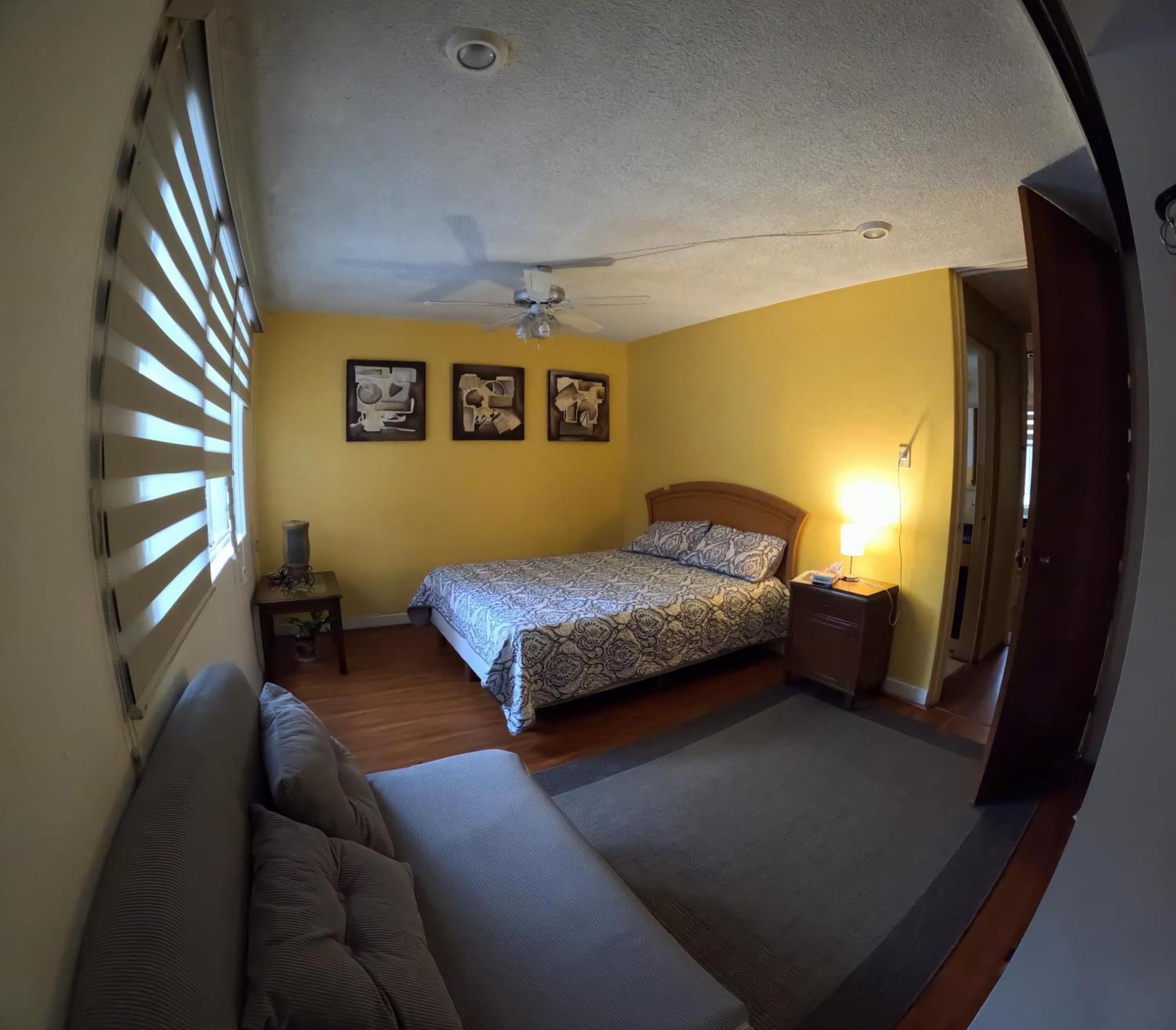 Neighbor Of Frida Khalo, Vintage Stay In Coyoacan Mexico City Exteriör bild