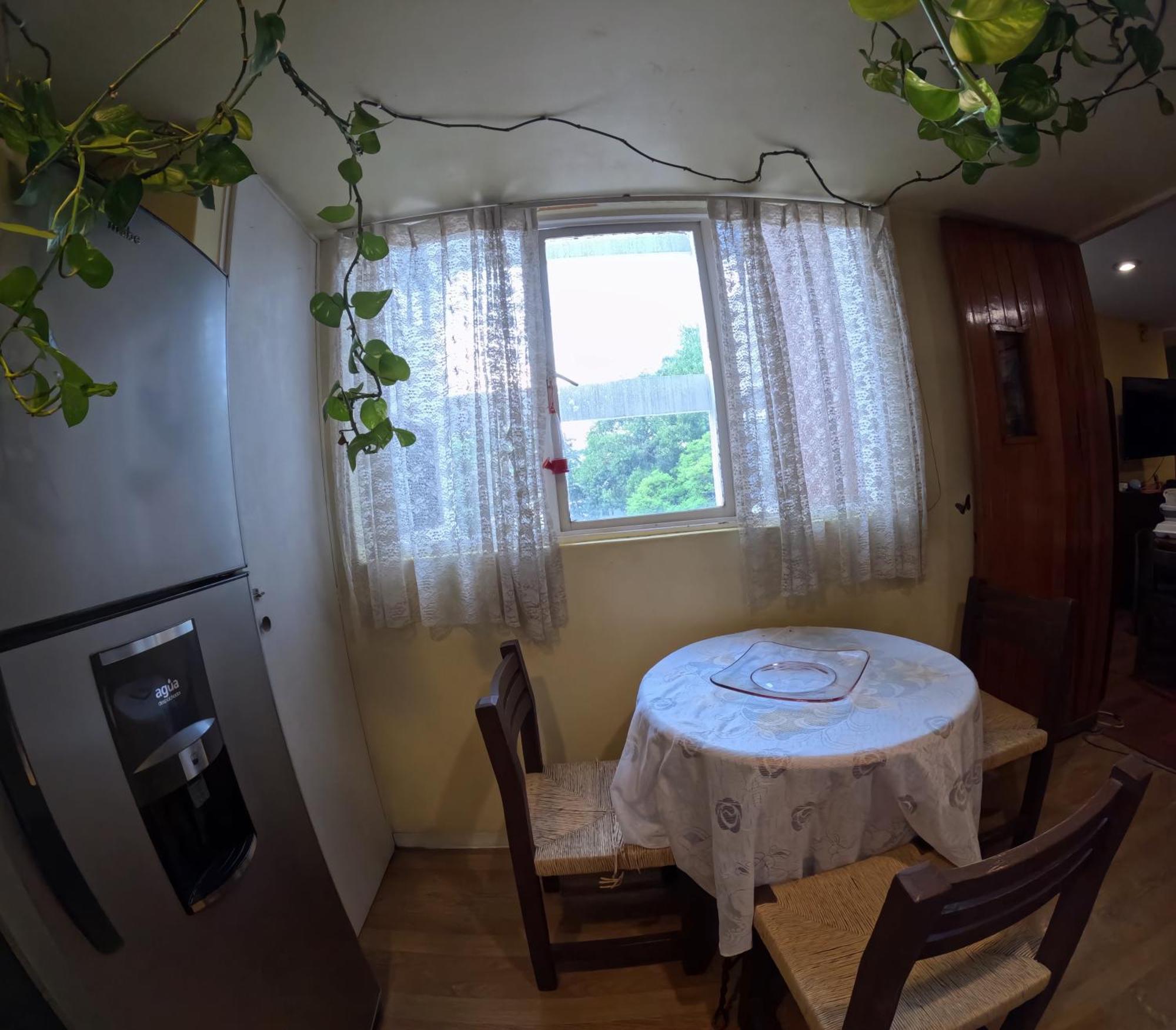 Neighbor Of Frida Khalo, Vintage Stay In Coyoacan Mexico City Exteriör bild